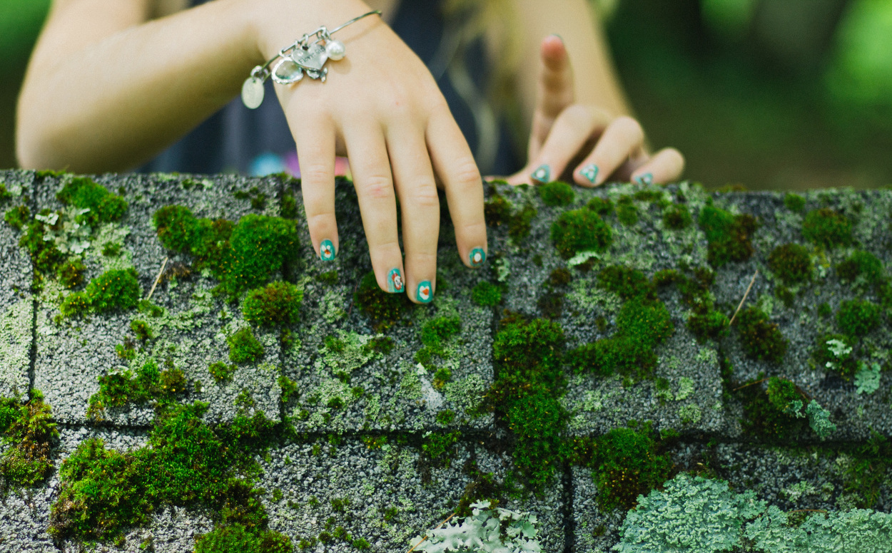 Image Result For Moss On Roof Image Result For Moss On Roof